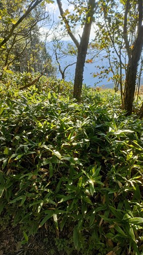 実際に効果のある人格の養成法